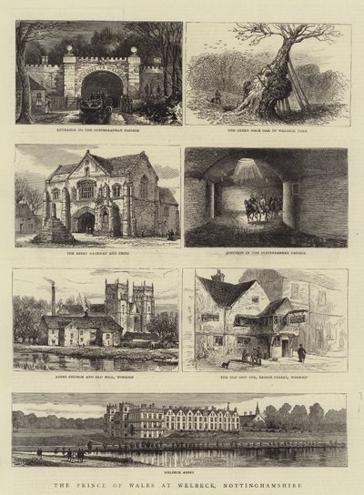 El Príncipe de Gales en Welbeck, Nottinghamshire de Henry William Brewer